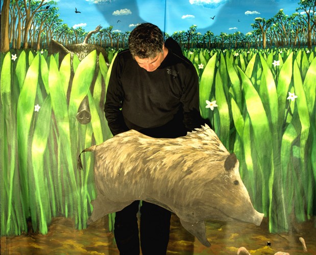 sanglier
